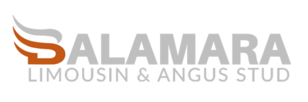 Balamara Limousin & Angus